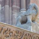 Beeld van een olifant